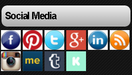 Social Media Author Platorm