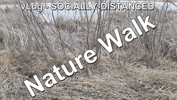 vLog socially distanced nature walk thumb