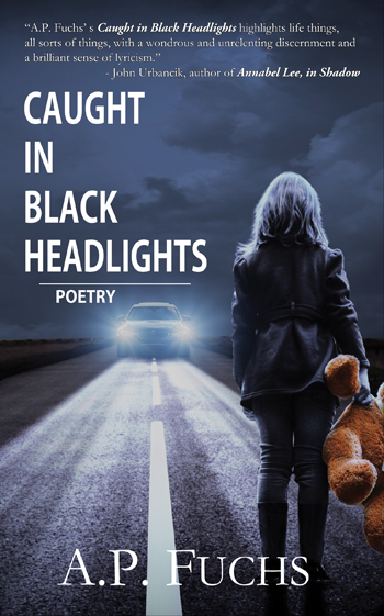 Caught in Black Headlights Poetry Book